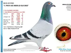 开云体育在线-关于TL爆冷BDS，Mickey完成帽子戏法的信息