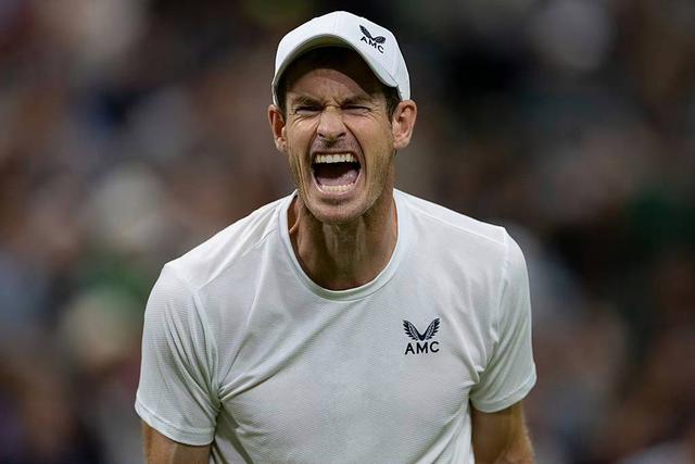 包含年终总决赛横扫温网，穆雷扛起全队的词条