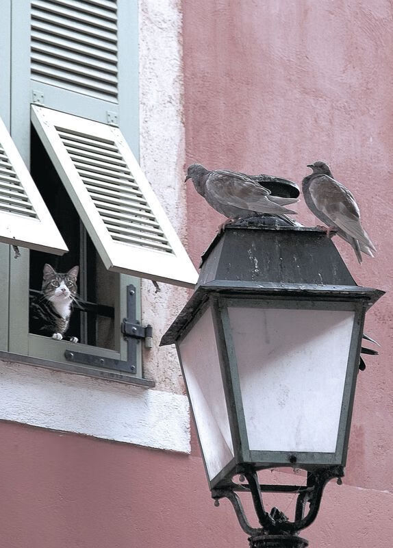 德意志之火焚尽圣西罗黄昏—莱万闪电三连击导演多特蒙德史诗逆转