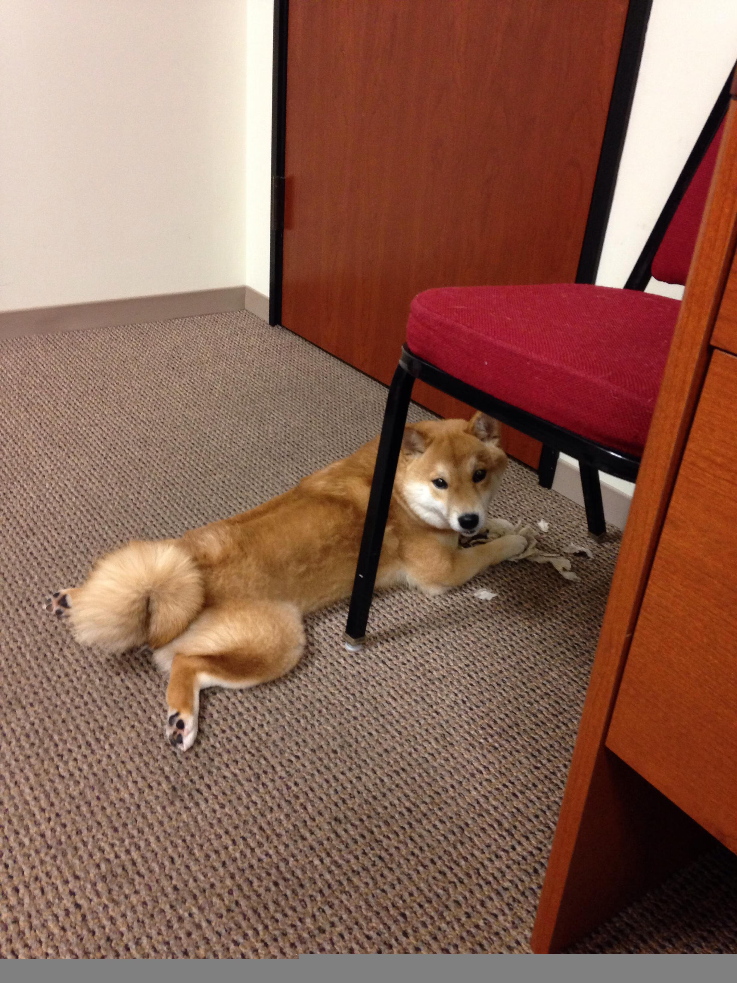 F1新赛季揭幕战之夜，范弗利特以热血与意志谱写的新篇章