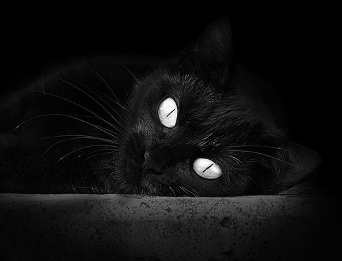 巨人亦有英雄泪，飞鹰破高原—戈贝尔关键战不手软与老鹰硬仗逆袭的同一内核