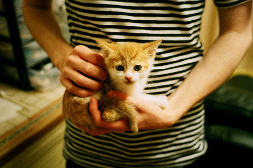 巨星诞生！迪亚斯闪耀玻利维亚战胜洪都拉斯之战