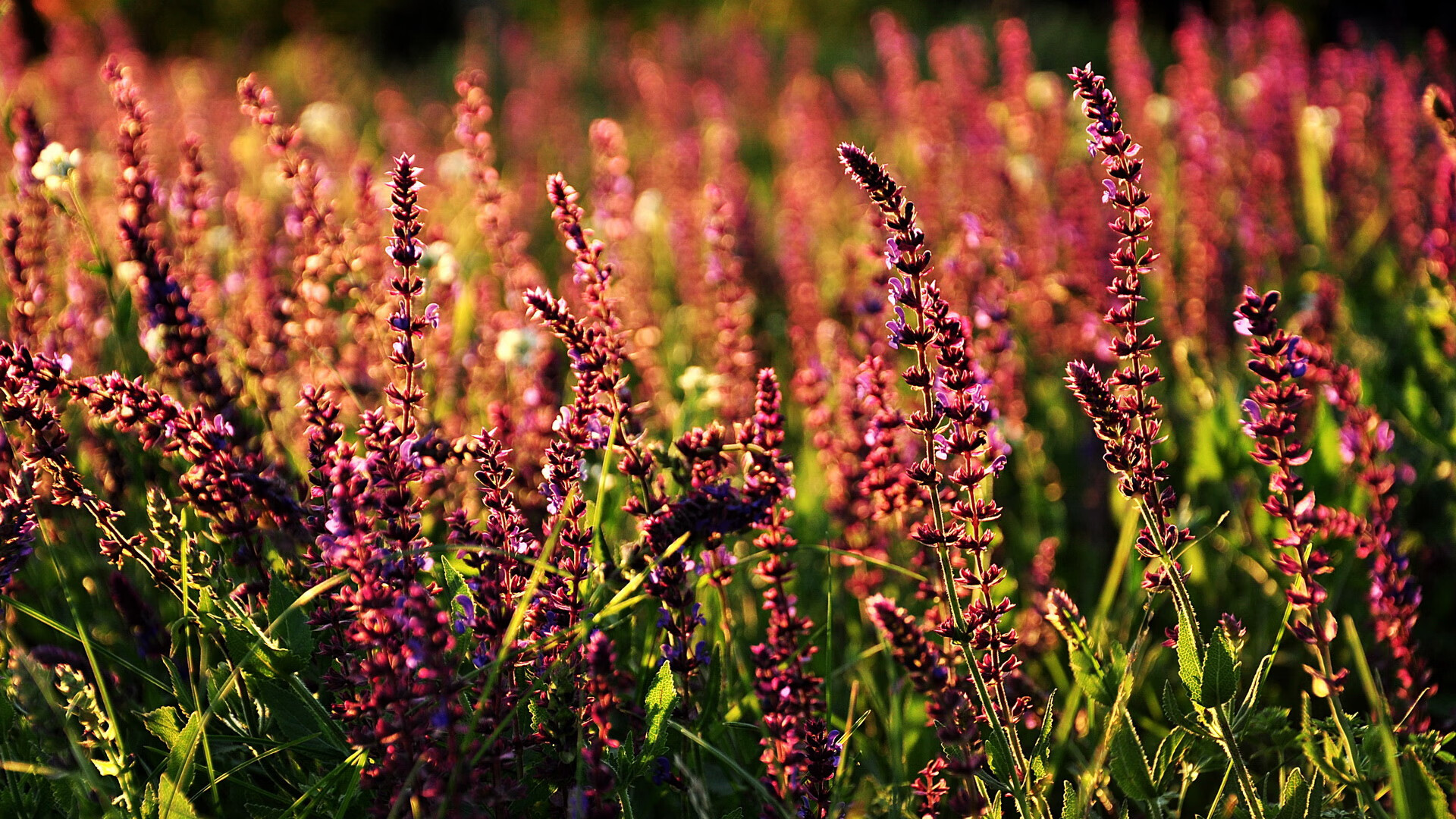 双城记，梅西的闪电撕裂毕尔巴鄂的钟表匠意志