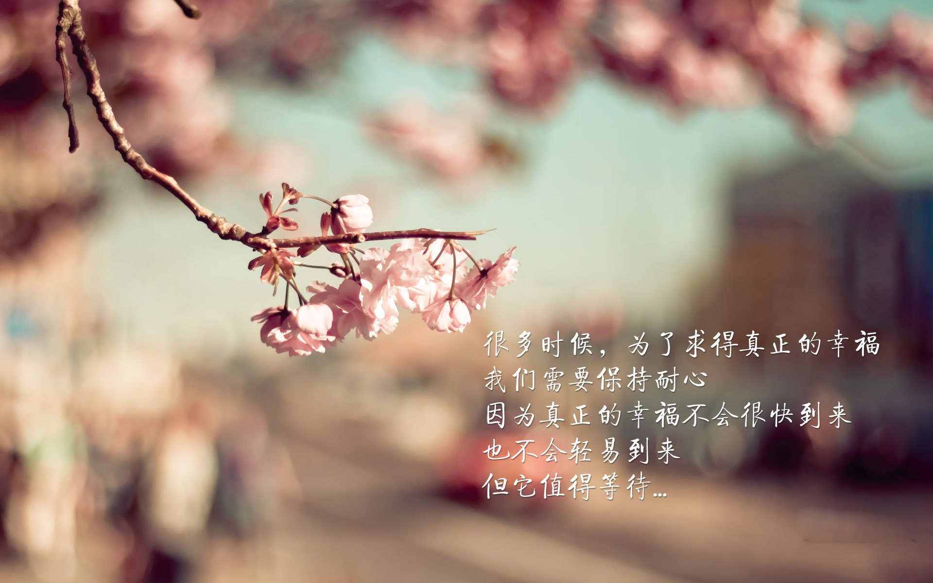 开云体育平台APP-逆转之光，2026世界杯G组焦点战，英格兰的绝地反击与久保建英的沉默主宰